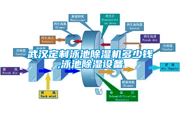 武漢定制泳池除濕機多少錢,泳池除濕設備