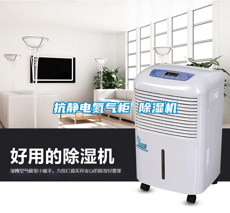 抗靜電氮氣柜 除濕機