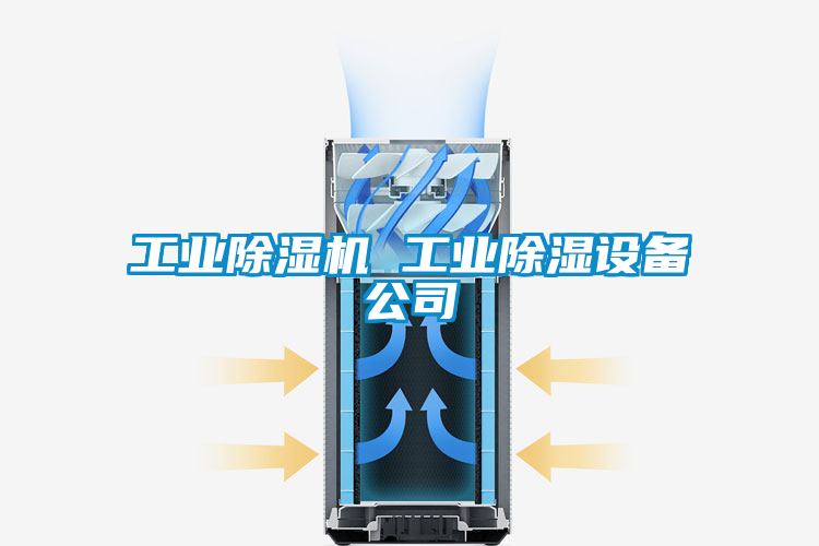 工業(yè)除濕機(jī) 工業(yè)除濕設(shè)備公司