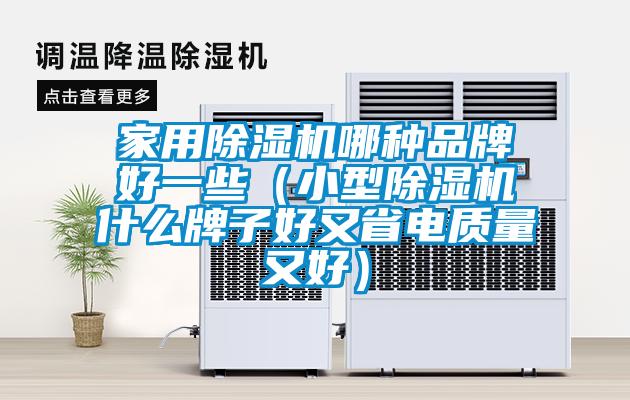 家用除濕機哪種品牌好一些（小型除濕機什么牌子好又省電質量又好）