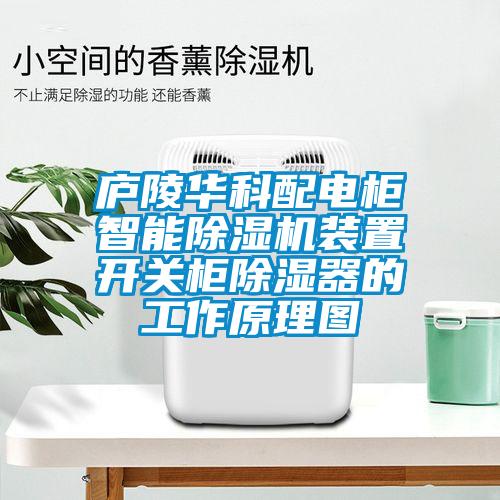 廬陵華科配電柜智能除濕機裝置開關柜除濕器的工作原理圖