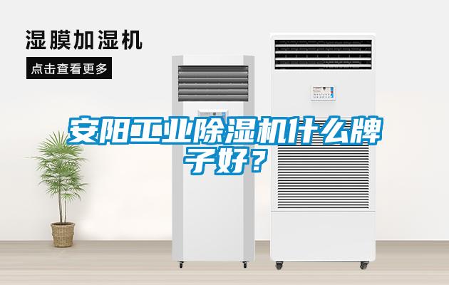 安陽工業(yè)除濕機什么牌子好？