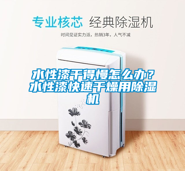 水性漆干得慢怎么辦？水性漆快速干燥用除濕機