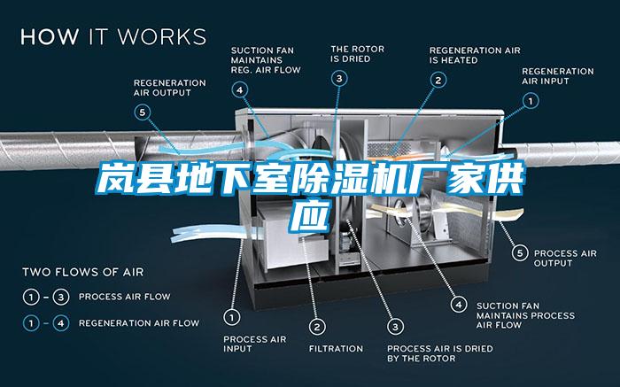 嵐縣地下室除濕機(jī)廠家供應(yīng)