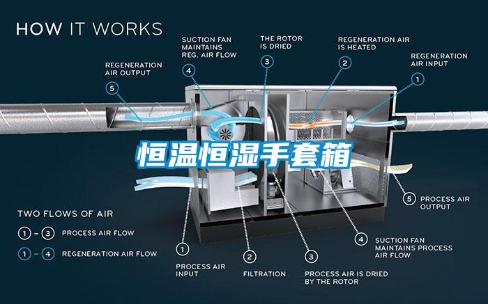 恒溫恒濕手套箱