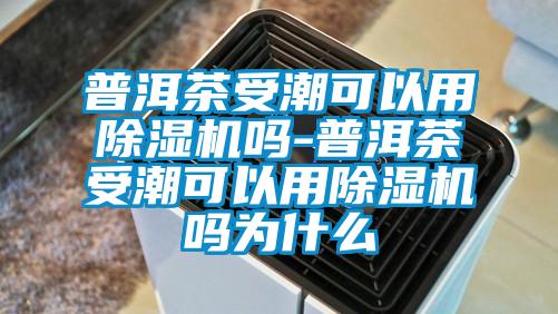 普洱茶受潮可以用除濕機(jī)嗎-普洱茶受潮可以用除濕機(jī)嗎為什么