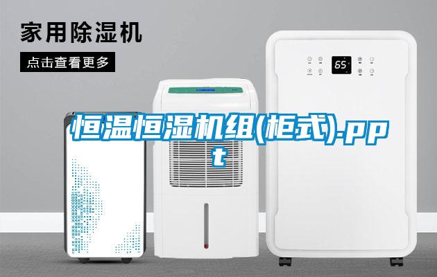 恒溫恒濕機組(柜式).ppt