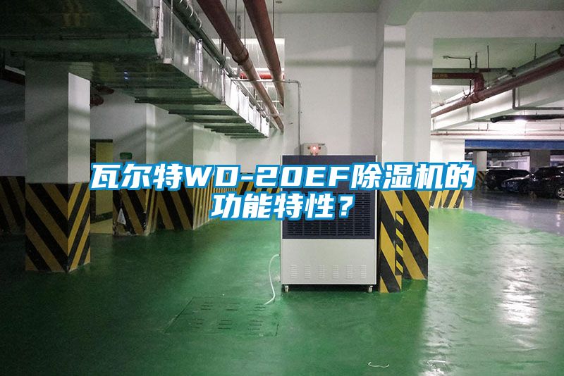 瓦爾特WD-20EF除濕機的功能特性？