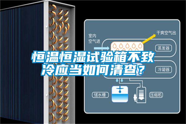 恒溫恒濕試驗(yàn)箱不致冷應(yīng)當(dāng)如何清查？