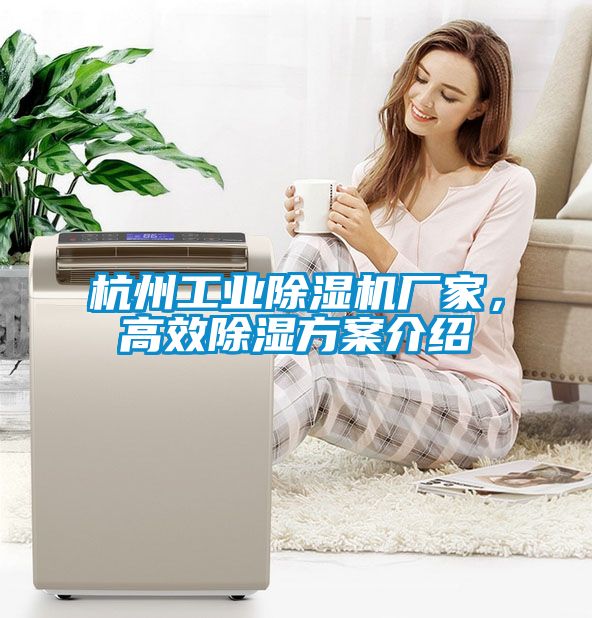 杭州工業(yè)除濕機廠家，高效除濕方案介紹