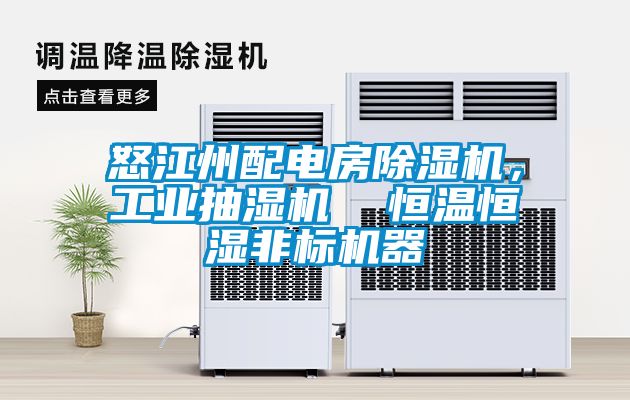 怒江州配電房除濕機(jī)，工業(yè)抽濕機(jī)  恒溫恒濕非標(biāo)機(jī)器