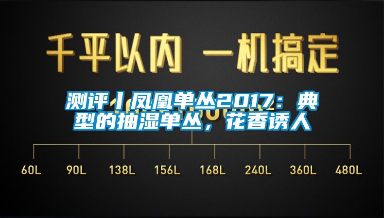 測評丨鳳凰單叢2017：典型的抽濕單叢，花香誘人