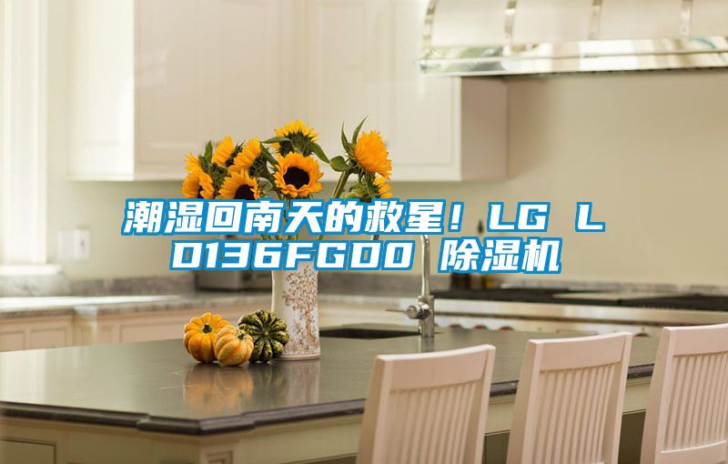 潮濕回南天的救星！LG LD136FGD0 除濕機(jī)