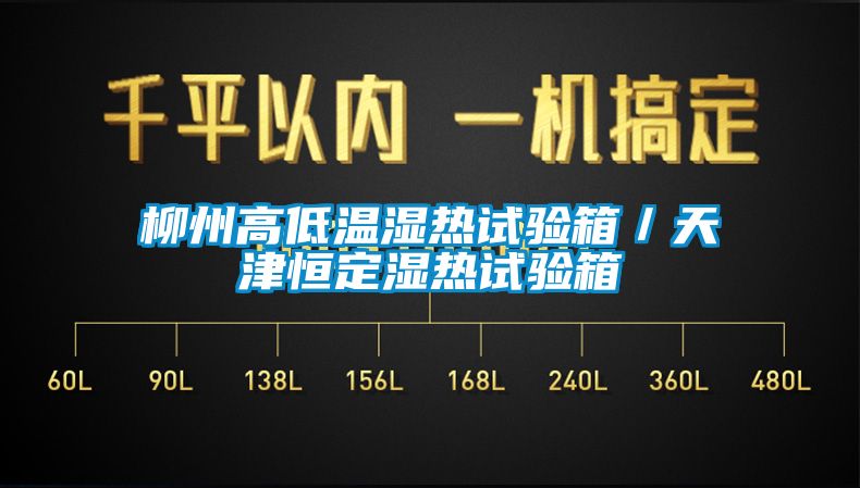 柳州高低溫濕熱試驗(yàn)箱／天津恒定濕熱試驗(yàn)箱