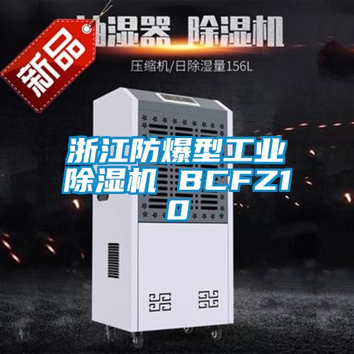 浙江防爆型工業(yè)除濕機 BCFZ10