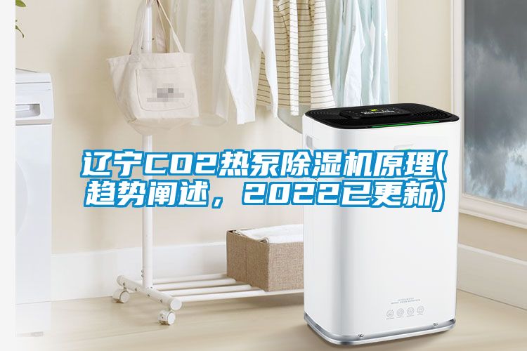 遼寧CO2熱泵除濕機(jī)原理(趨勢(shì)闡述，2022已更新)