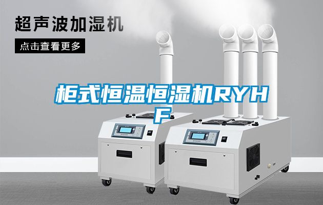 柜式恒溫恒濕機RYHF