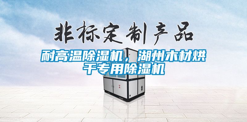 耐高溫除濕機，湖州木材烘干專用除濕機