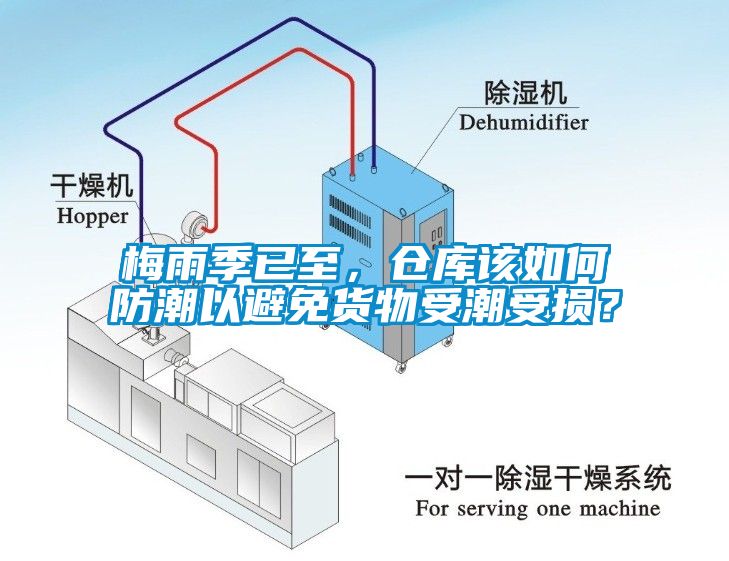 梅雨季已至，倉庫該如何防潮以避免貨物受潮受損？