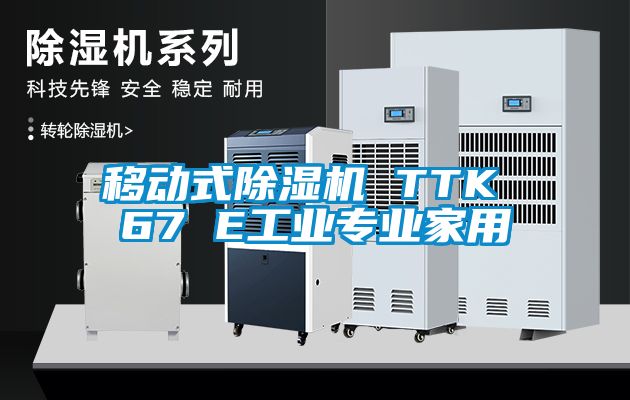 移動式除濕機 TTK 67 E工業(yè)專業(yè)家用