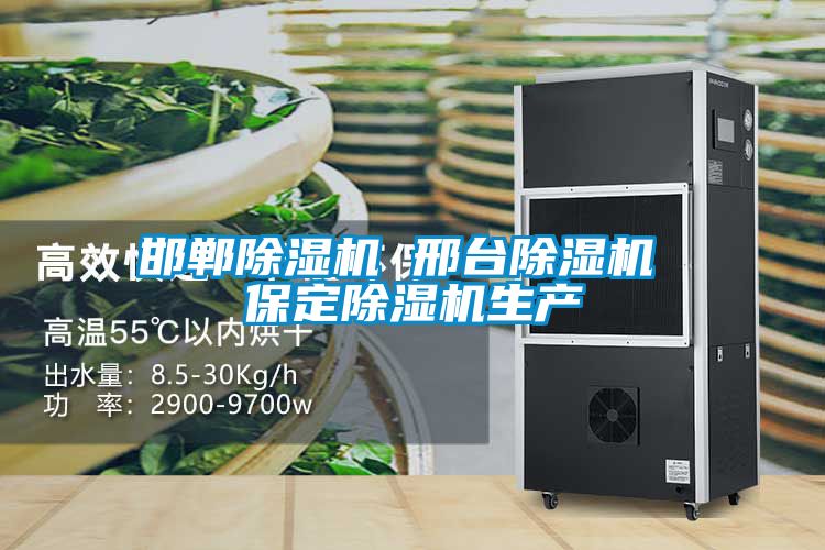 邯鄲除濕機 邢臺除濕機 保定除濕機生產(chǎn)