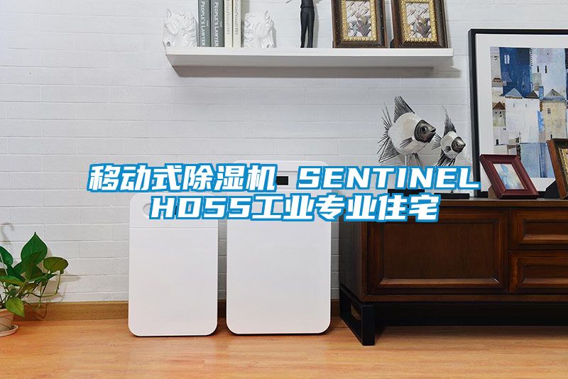 移動式除濕機 SENTINEL HD55工業(yè)專業(yè)住宅