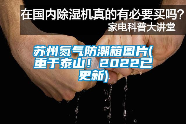 蘇州氮氣防潮箱圖片(重于泰山！2022已更新)