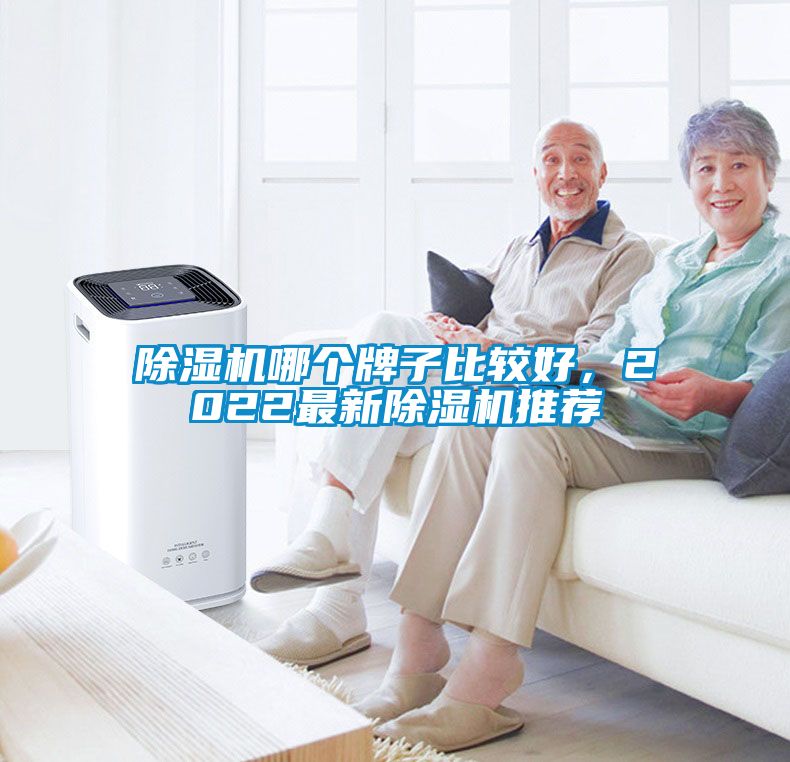 除濕機哪個牌子比較好，2022最新除濕機推薦