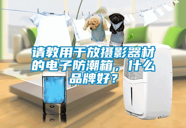 請教用于放攝影器材的電子防潮箱，什么品牌好？