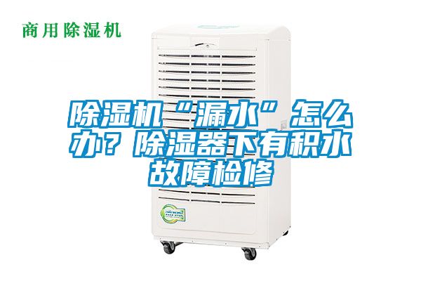 除濕機“漏水”怎么辦？除濕器下有積水故障檢修