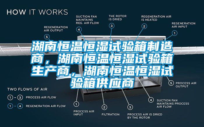 湖南恒溫恒濕試驗箱制造商，湖南恒溫恒濕試驗箱生產商，湖南恒溫恒濕試驗箱供應商