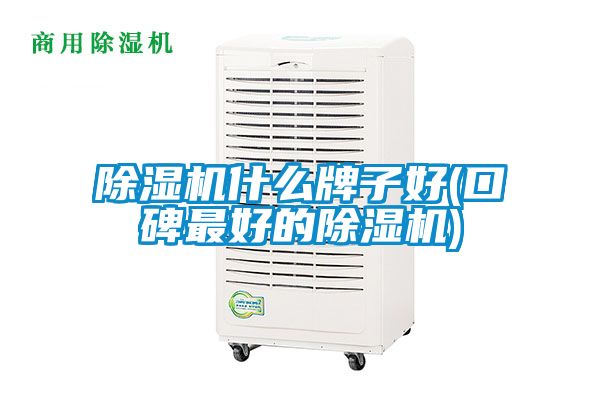 除濕機(jī)什么牌子好(口碑最好的除濕機(jī))