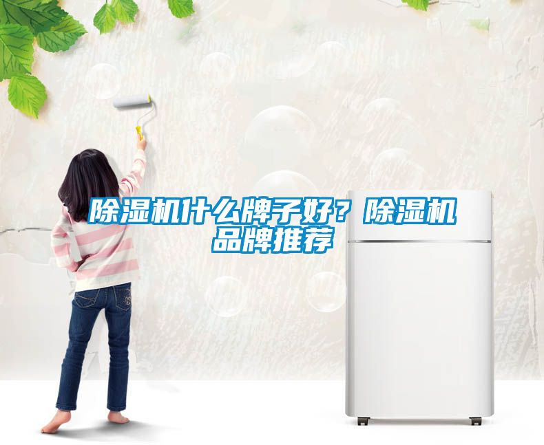 除濕機(jī)什么牌子好？除濕機(jī)品牌推薦