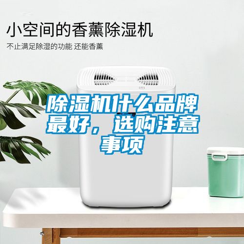 除濕機什么品牌最好，選購注意事項