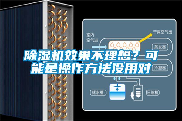 除濕機效果不理想？可能是操作方法沒用對