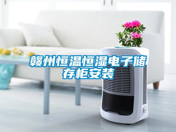 贛州恒溫恒濕電子儲存柜安裝