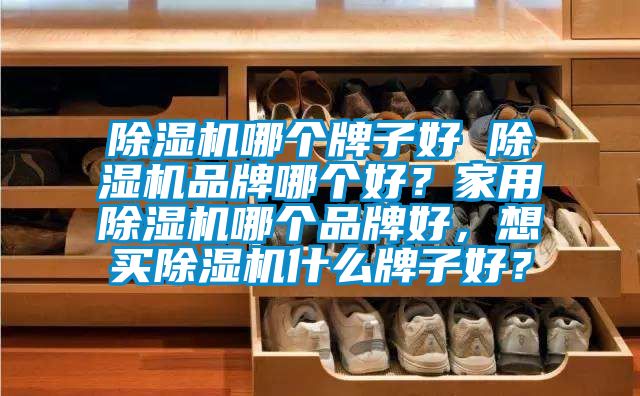 除濕機哪個牌子好 除濕機品牌哪個好？家用除濕機哪個品牌好，想買除濕機什么牌子好？