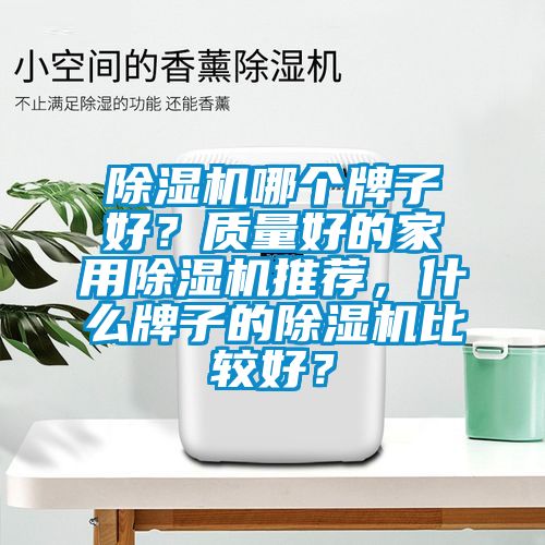 除濕機(jī)哪個(gè)牌子好？質(zhì)量好的家用除濕機(jī)推薦，什么牌子的除濕機(jī)比較好？