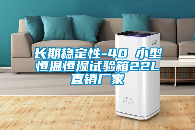 長期穩(wěn)定性-40℃小型恒溫恒濕試驗箱22L直銷廠家