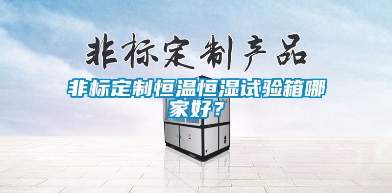 非標(biāo)定制恒溫恒濕試驗箱哪家好？