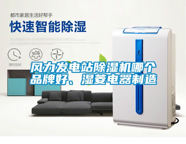 風(fēng)力發(fā)電站除濕機哪個品牌好、濕菱電器制造